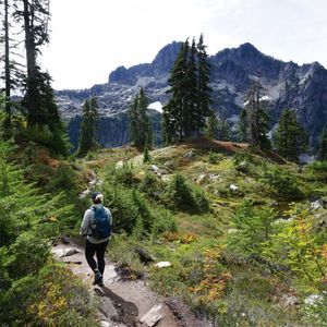 Meet your Posher, Tara